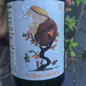 Pétillant Naturel - Domaine Terra Dieda - francis-trioux