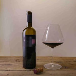 Terranatura - Vina Štemberger - Sebastianj Štemberger -2020