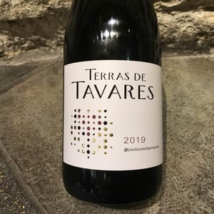 Terras de Tavares - Quinta da Boavista - Terras de Tavares - joao-tavares-de-pina