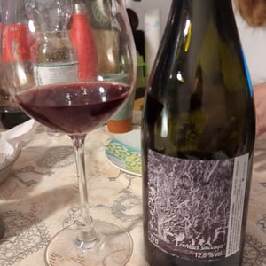Terrasse Sauvages - Les Vins Du Fab - Fabien Henriot -2020