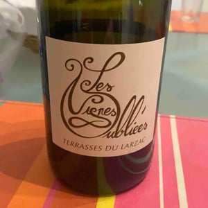 Terrasses du Larzac 2014