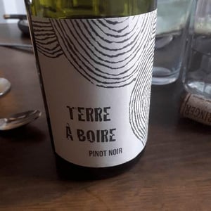 Léo Dirringer - Léo Dirringer - Terre À Boire