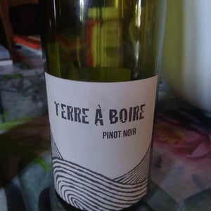 Léo Dirringer - Léo Dirringer - Terre À Boire