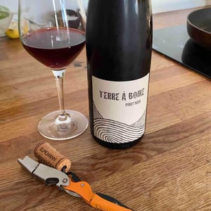 Léo Dirringer - Léo Dirringer - Terre À Boire