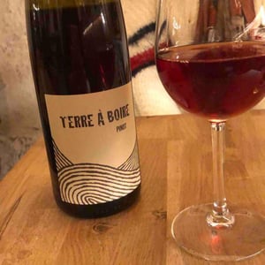 Terre À Boire - Léo Dirringer - leo-dirringer