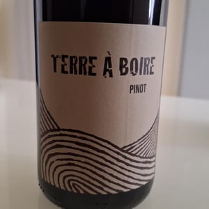 Terre À Boire - Léo Dirringer - leo-dirringer