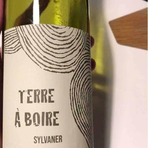 Terre À Boire - Léo Dirringer - Léo Dirringer 