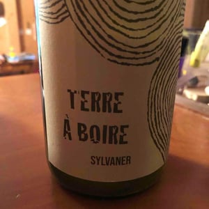 Terre À Boire - Léo Dirringer - Léo Dirringer 