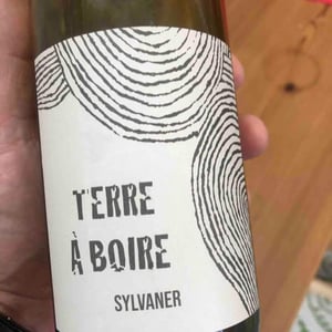 Terre À Boire - Léo Dirringer - Léo Dirringer 
