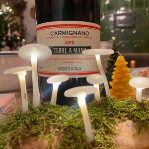 Carmignano - Fattoria di Bacchereto Terre a Mano - Maria Rossella Bencini Tesi 