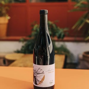 Terre à Terre - Domaine Laura Aillaud - laura-aillaud