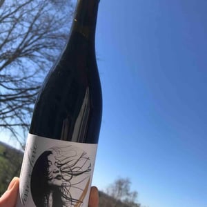 Terre à Terre - Domaine Laura Aillaud - laura-aillaud