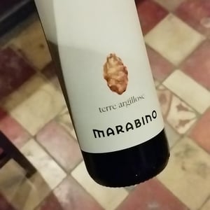 Terre Argillose - Società Agricola Marabino - Pierpaolo Messina 