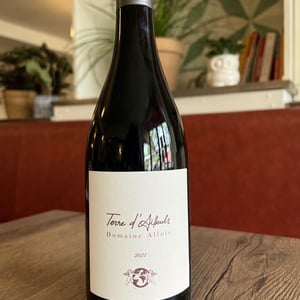 Terre D'ailleuls - Alloïs - francois-busi -2021