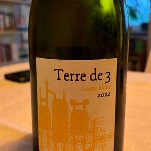 Terre De 3 - Terra Vita Vinum - Bénédicte & Luc Briand -2018