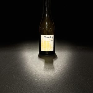 Terre De 3 - Terra Vita Vinum - benedicte-luc-briand -2018