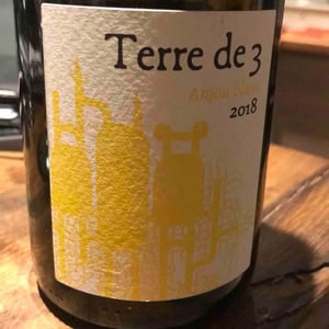 Terre De 3 - Terra Vita Vinum - benedicte-luc-briand -2018
