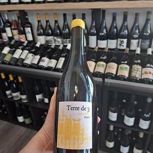 Terre De 3 - Terra Vita Vinum - benedicte-luc-briand -2018