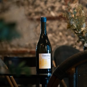 Terre De 3 - Terra Vita Vinum - benedicte-luc-briand -2018