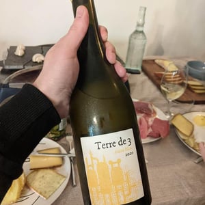 Terre De 3 - Terra Vita Vinum - Bénédicte & Luc Briand -2018