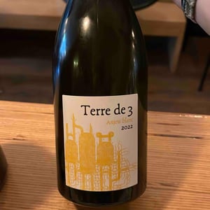 Terre De 3 - Terra Vita Vinum - benedicte-luc-briand -2018