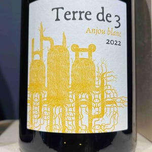 Terre De 3 - Terra Vita Vinum - benedicte-luc-briand -2018