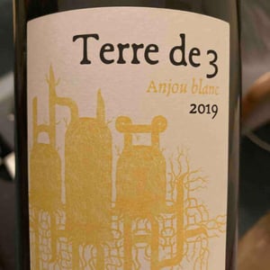 Terre De 3 - Terra Vita Vinum - Bénédicte & Luc Briand -2018