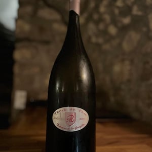 Terre de Feu - Domaine de la Grézille - bruno-paillocher -2010