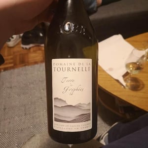 Terre de Gryphées - Domaine de la Tournelle - evelyne-clairet
