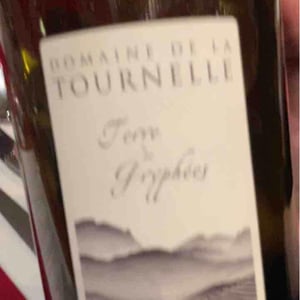 Terre de Gryphées - Domaine de la Tournelle - evelyne-clairet