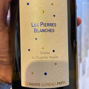 Terre De pierre - Domaine Pierre Luneau-Papin - Pierre-Marie & Marie Luneau 