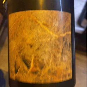 Terre De pierre - Domaine Pierre Luneau-Papin - Pierre-Marie & Marie Luneau 