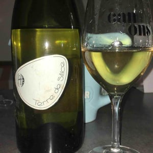 Terre de Silice - Clos Belle Croix - Reynald Héaulé 
