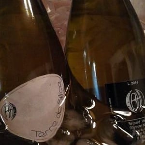 Terre de Silice 2014