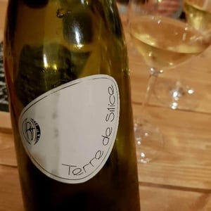 Terre de Silice - Clos Belle Croix - reynald-heaule