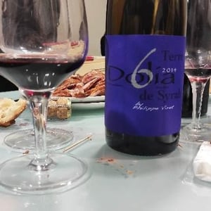 Dolia Terre de Syrah - Viret - Philippe & Alain Viret 