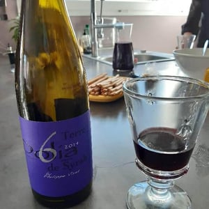 Dolia Terre de Syrah - Viret - Philippe & Alain Viret 
