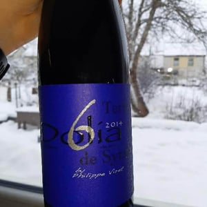 Dolia Terre de Syrah - Viret - Philippe & Alain Viret 