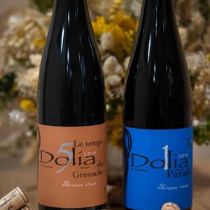 Dolia Terre de Syrah - Viret - philippe-alain-viret