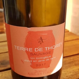 Terre De Thorey Sauvage - Domaine Aurélien Febvre - aurelien-febvre