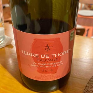 Terre De Thorey Sauvage - Domaine Aurélien Febvre - Aurélien Febvre 
