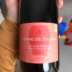 Terre De Thorey Sauvage - Domaine Aurélien Febvre - aurelien-febvre