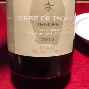 Terre de Thorey Tendre - Domaine Aurélien Febvre - Aurélien Febvre -2018