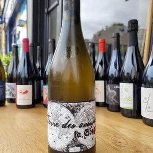 Terre Des Anonymes - La Sorga - antony-tortul