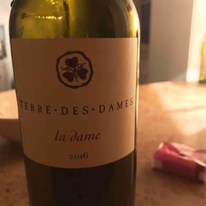 Terre Des Dames - Mas Des Dames - Terres des Dames - lidewij-van-wilgen