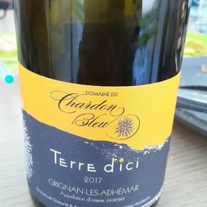 Terre D'ici - Chardon Bleu - aurelia-spitaels