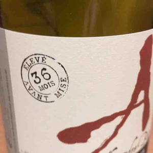 Domaine Alexandre Bain - Alexandre Bain - Terres d'Obus