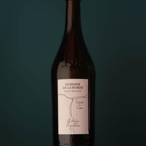 Terre du Lias - Domaine de la Borde - julien-mareschal