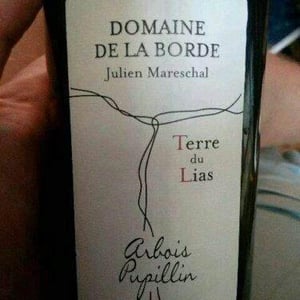 Terre du Lias - Domaine de la Borde - julien-mareschal