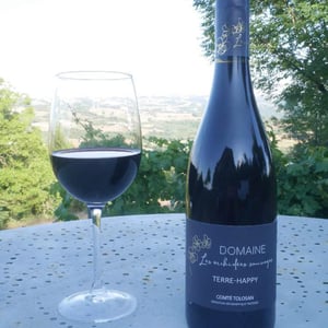 Terre Happy - Les Orchidées Sauvages - sebastien-lavaurs -2020